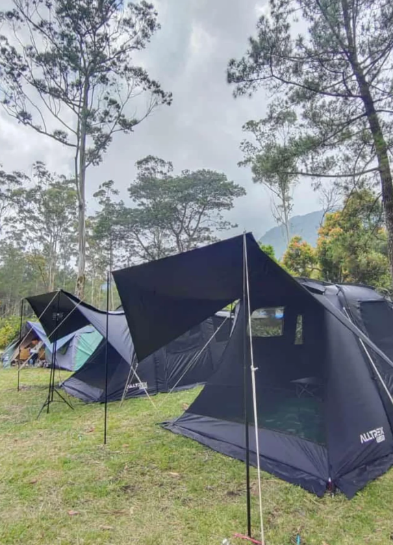 Set up tent in nature