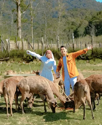 Trekking during camping